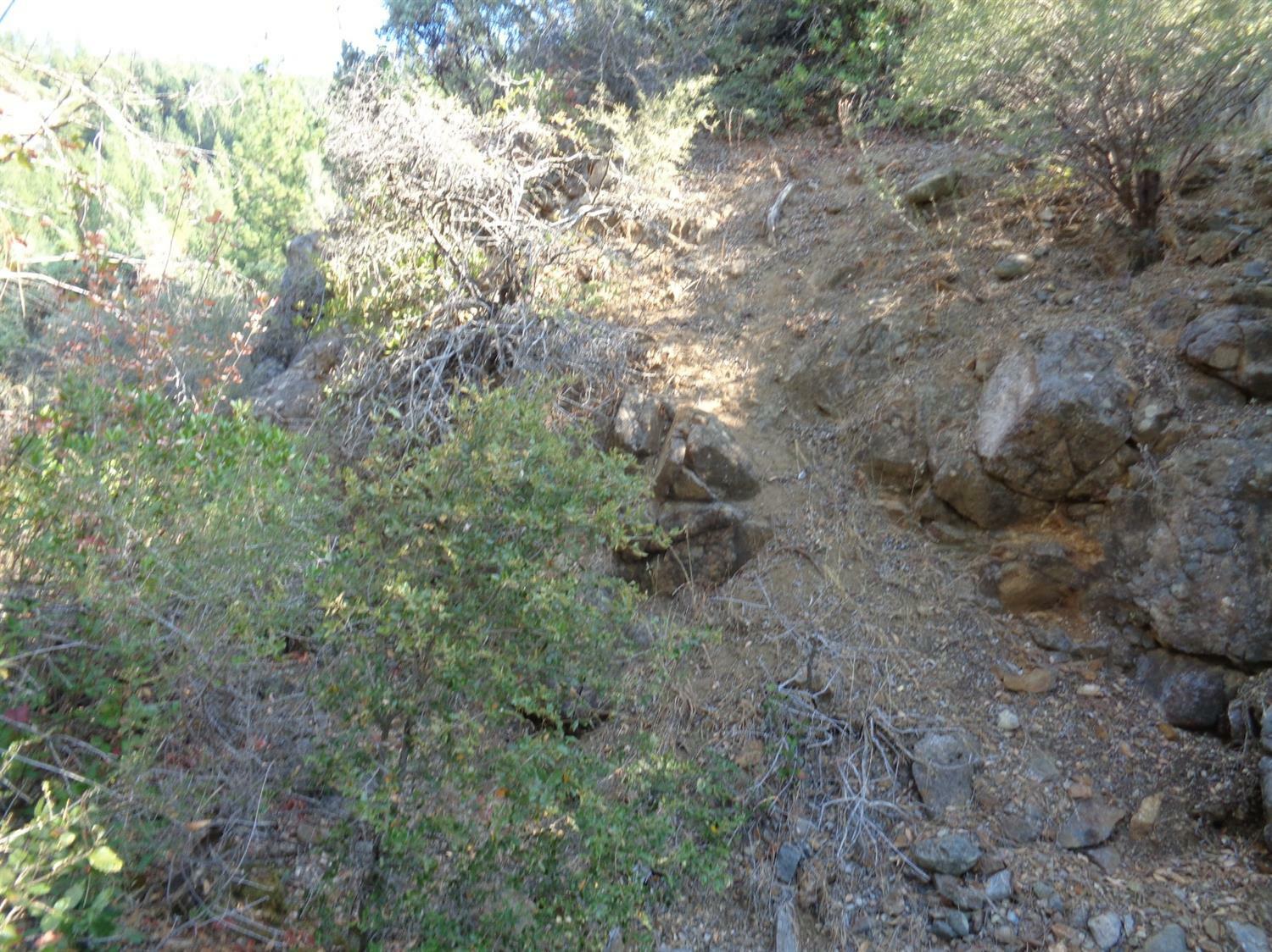 Property Photo:  26270 Foresthill Road  CA 95631 