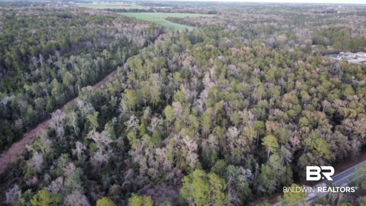 Property Photo:  0 Highway 104  AL 36576 
