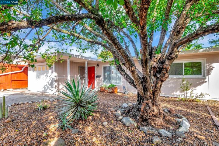 2814 Glenside Drive  Concord CA 94520 photo