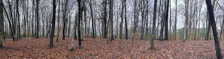 Property Photo: Lot 87 Stillwater KY 42642