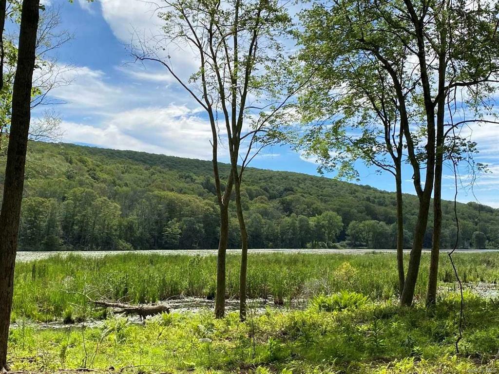 Property Photo:  Bog Hollow Road  NY 12501 