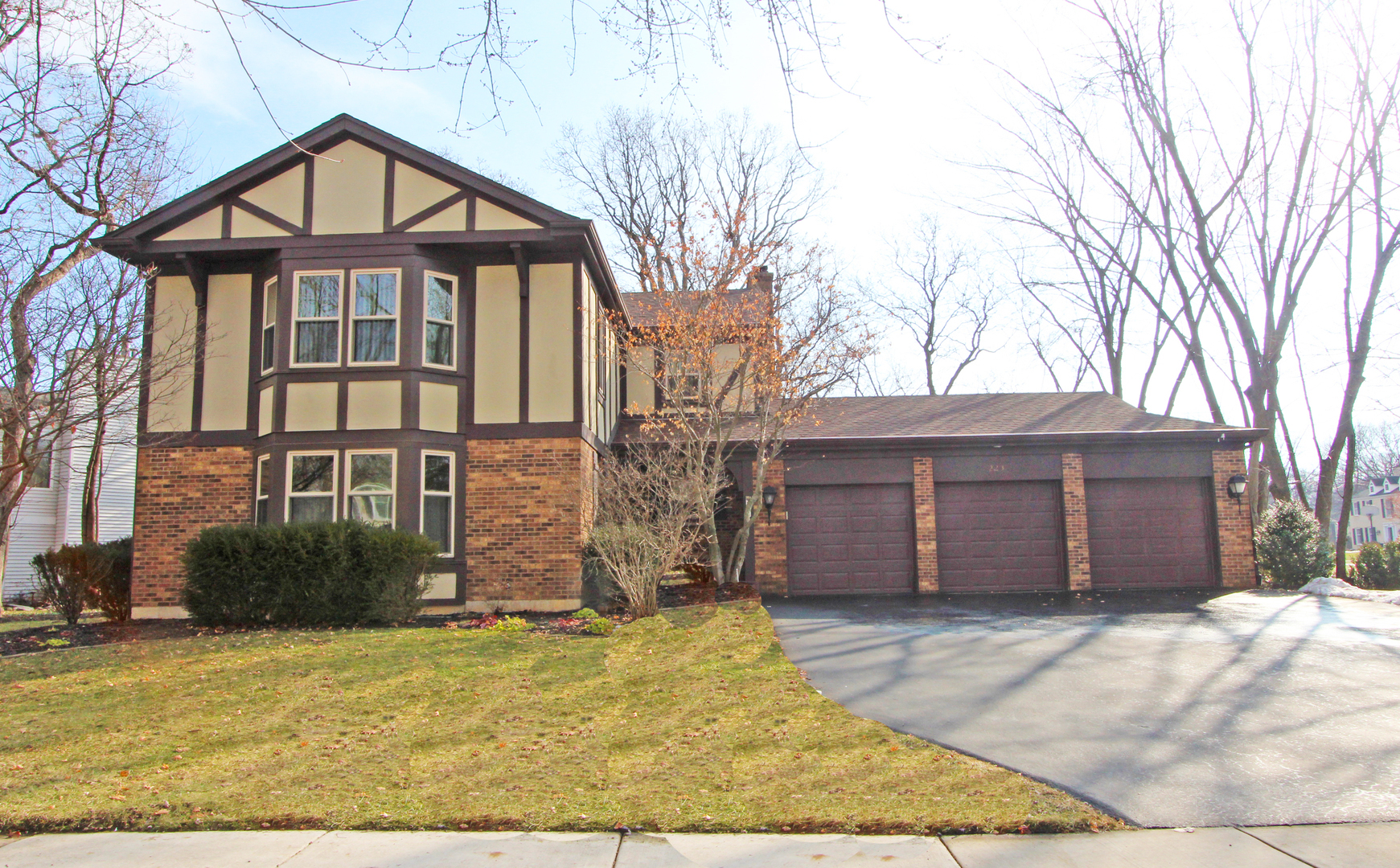 Property Photo:  223 Alpine Drive  IL 60047 