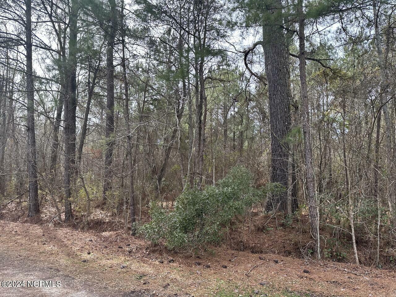 Property Photo:  000 Wooten Rd Road  NC 28454 