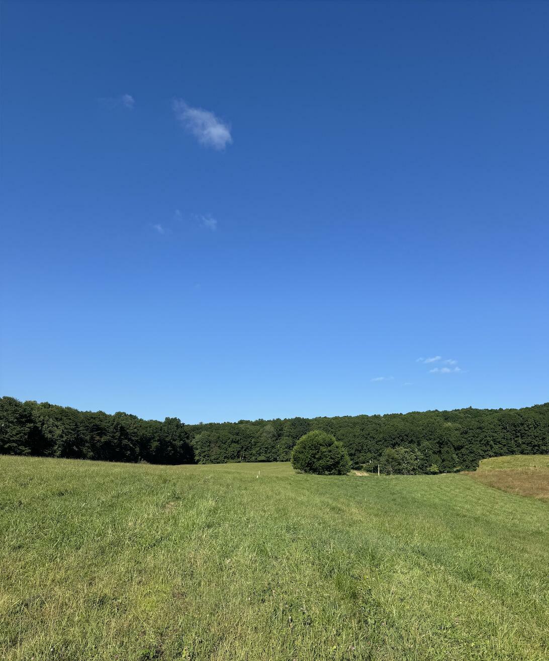 Property Photo: 0 Old Dirt Road TN 37338
