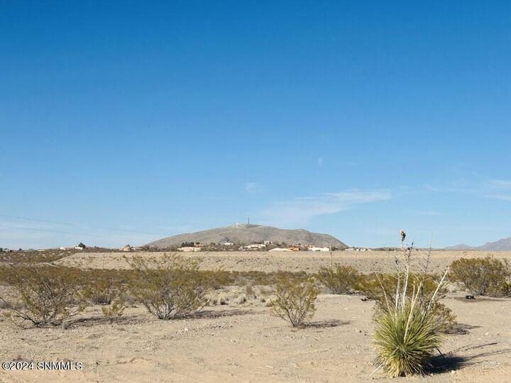 Property Photo:  4194 Peter Hurd Road  NM 88011 