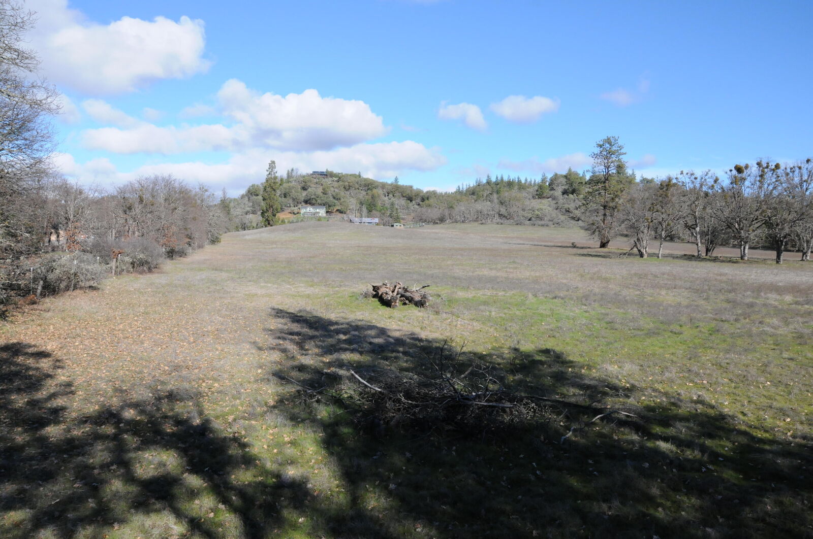 Property Photo:  16276 Antioch Road  OR 97502 