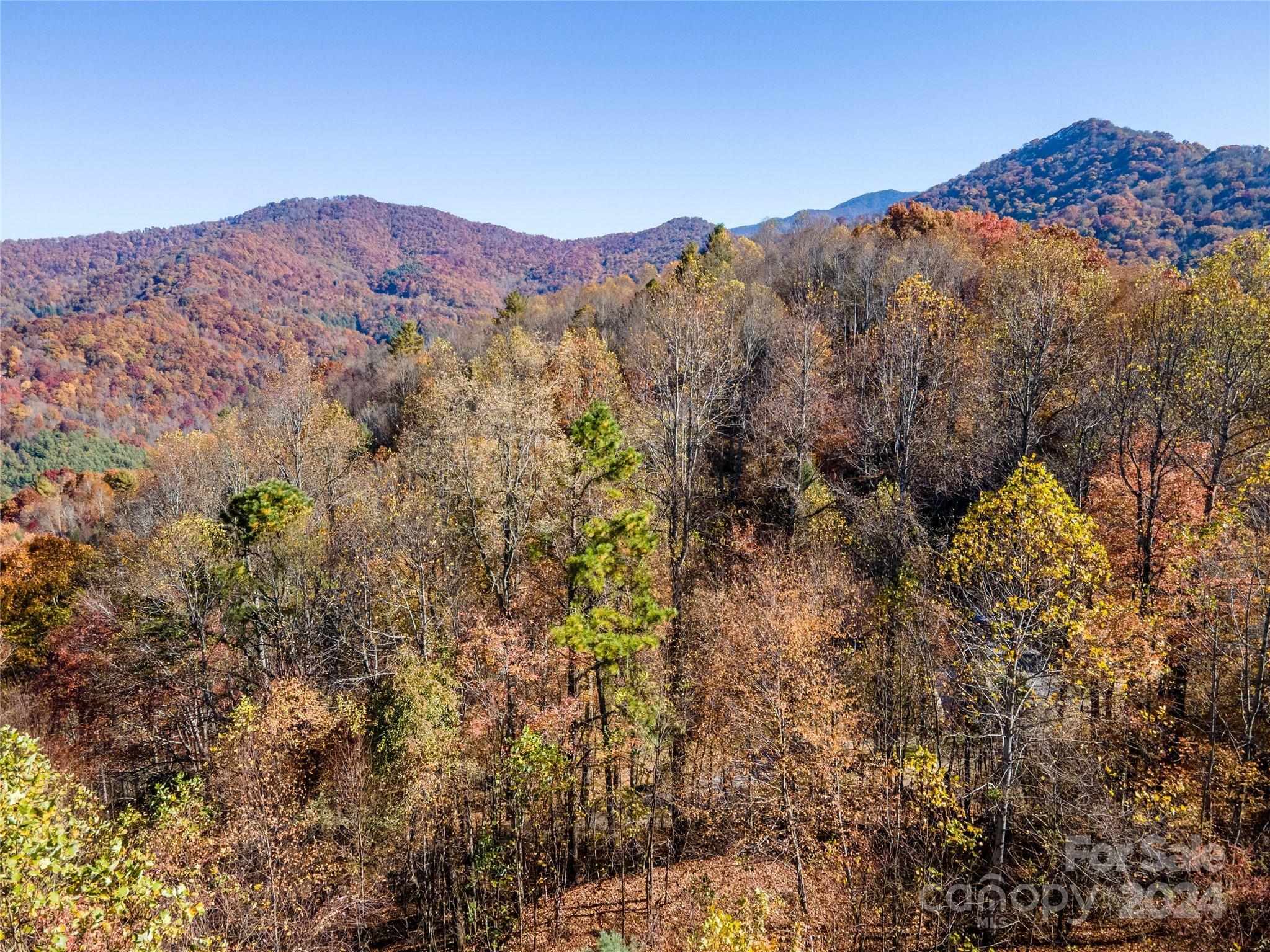 Property Photo:  Lot 18 Bucks Ridge 18  NC 28721 