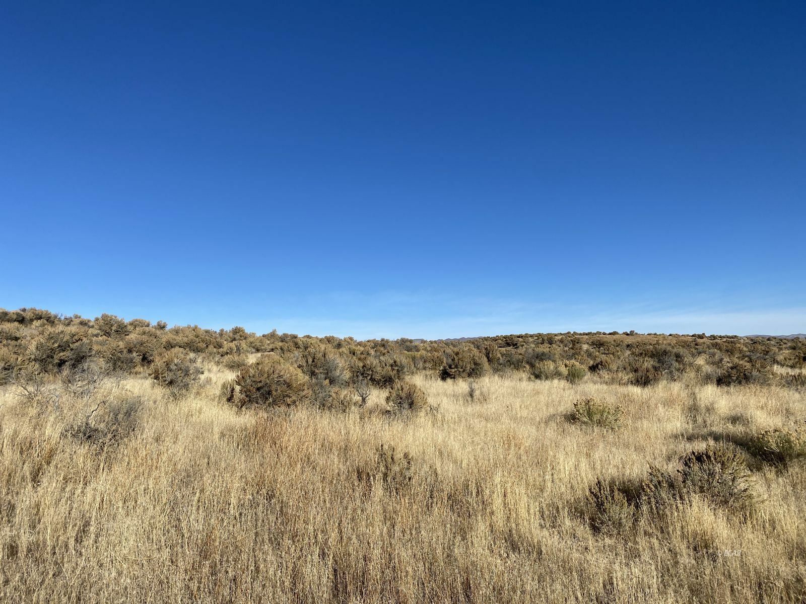 Property Photo:  Country Lane  NV 89801 