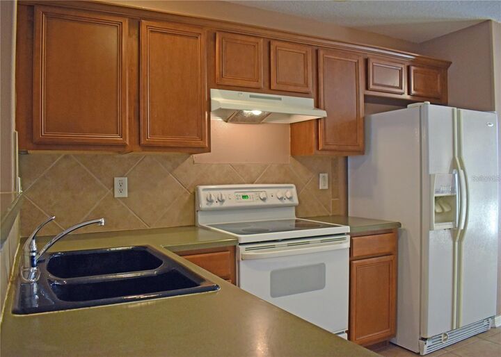 Property Photo: 4891 Tuscan Loon Drive FL 33619