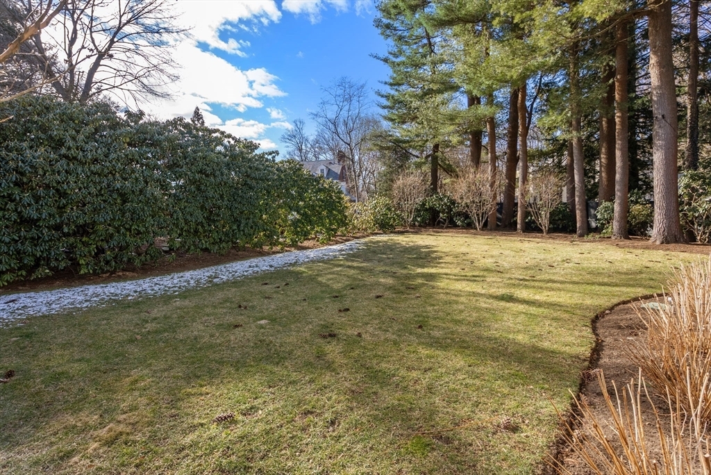 Property Photo:  123 Abbott Road  MA 02481 