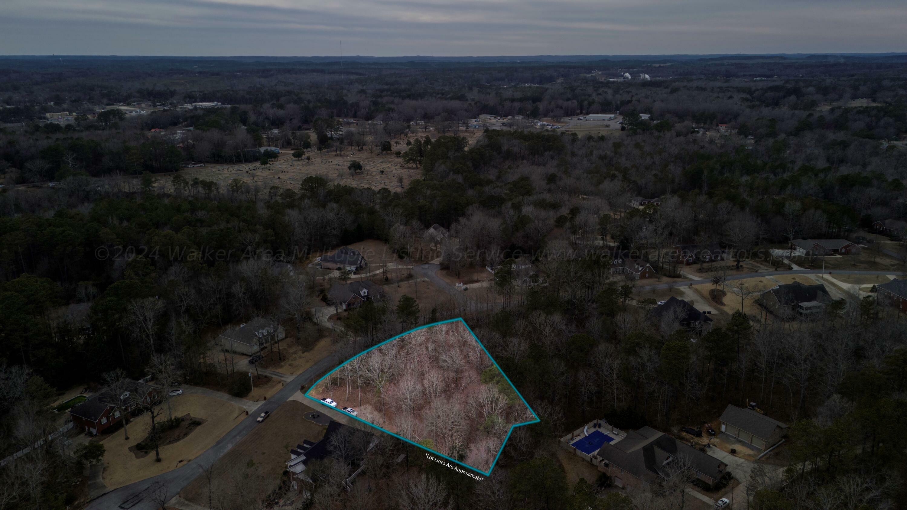 Property Photo:  Lot 37 Loblolly Ln  AL 35504 