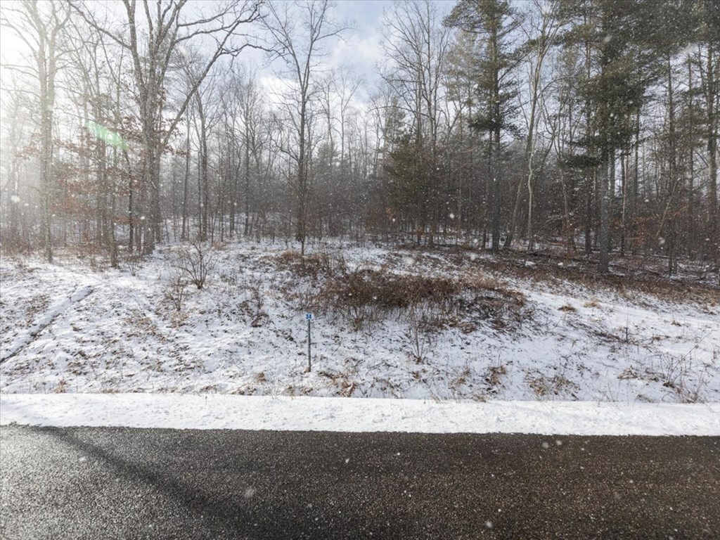 Property Photo:  Lot33&Amp34 Hemlock Hills Rd  PA 18848 