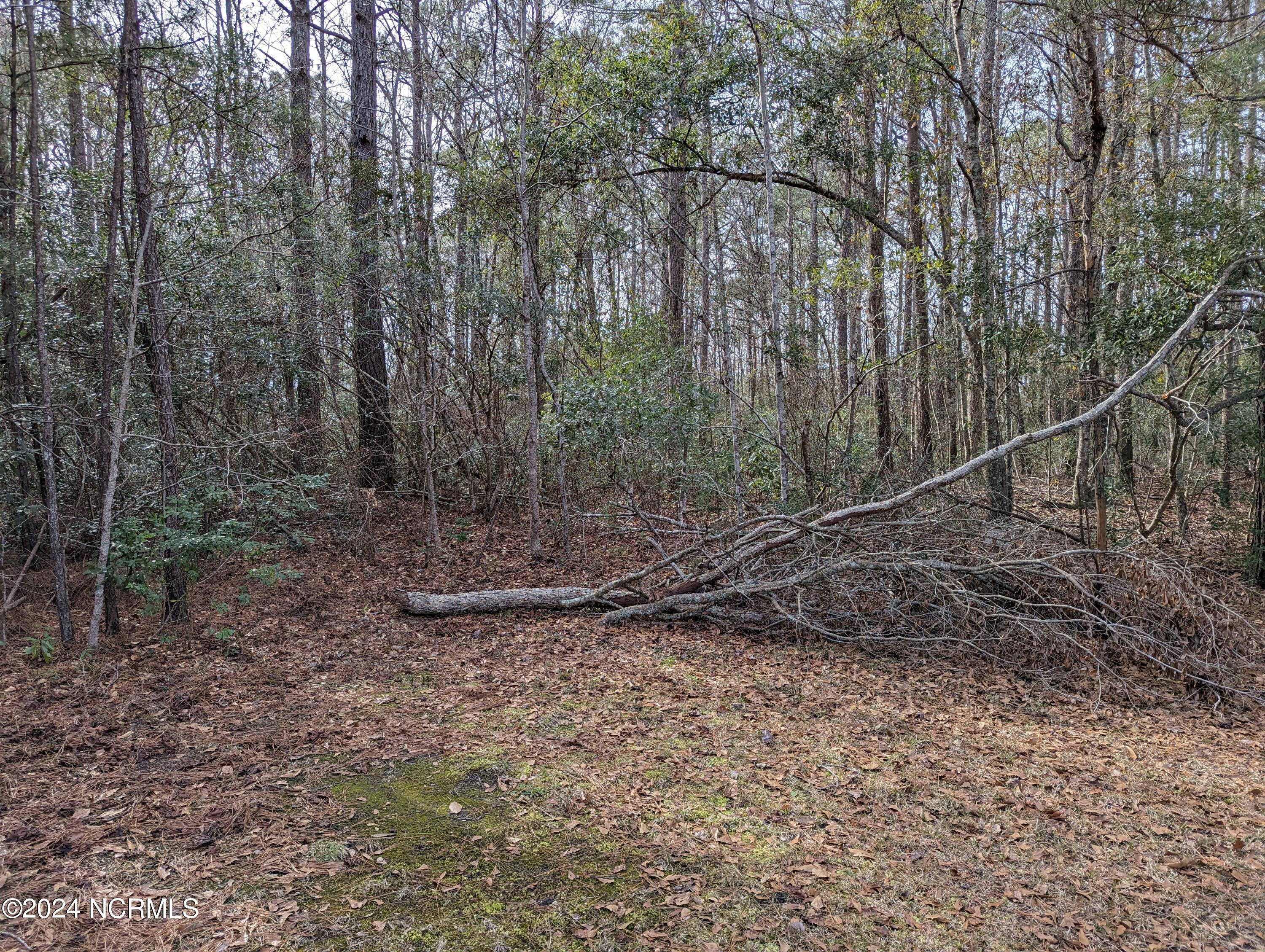 Property Photo:  704 Lucian Marlow Road NW  NC 28467 