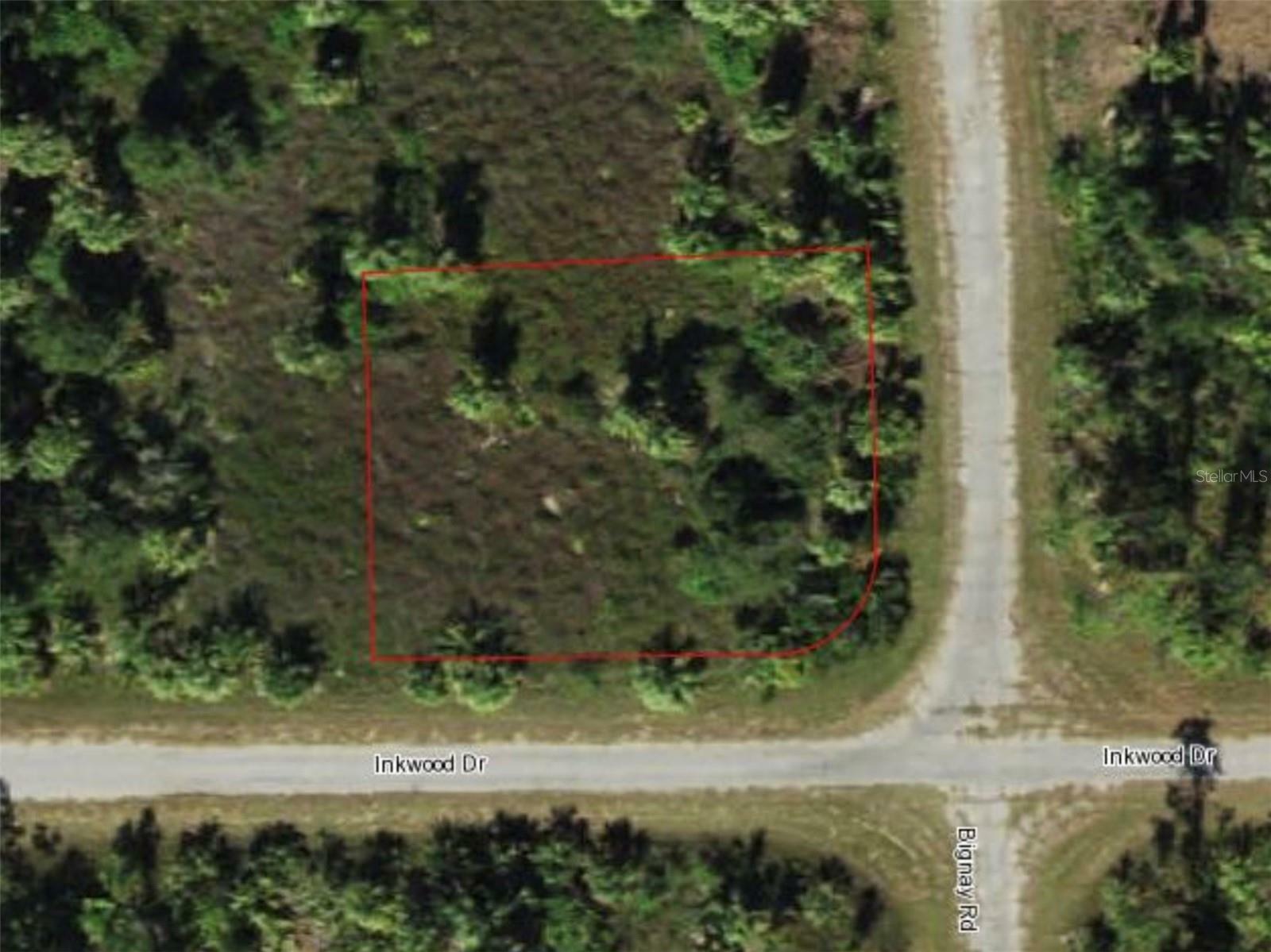 Property Photo:  Bignay Road  FL 34288 