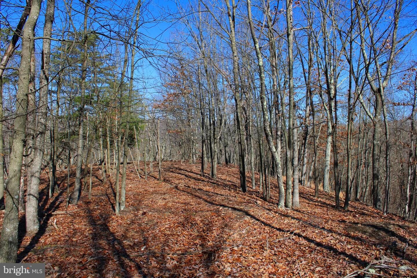 Property Photo:  20 Acres Caribou Drive  WV 25437 
