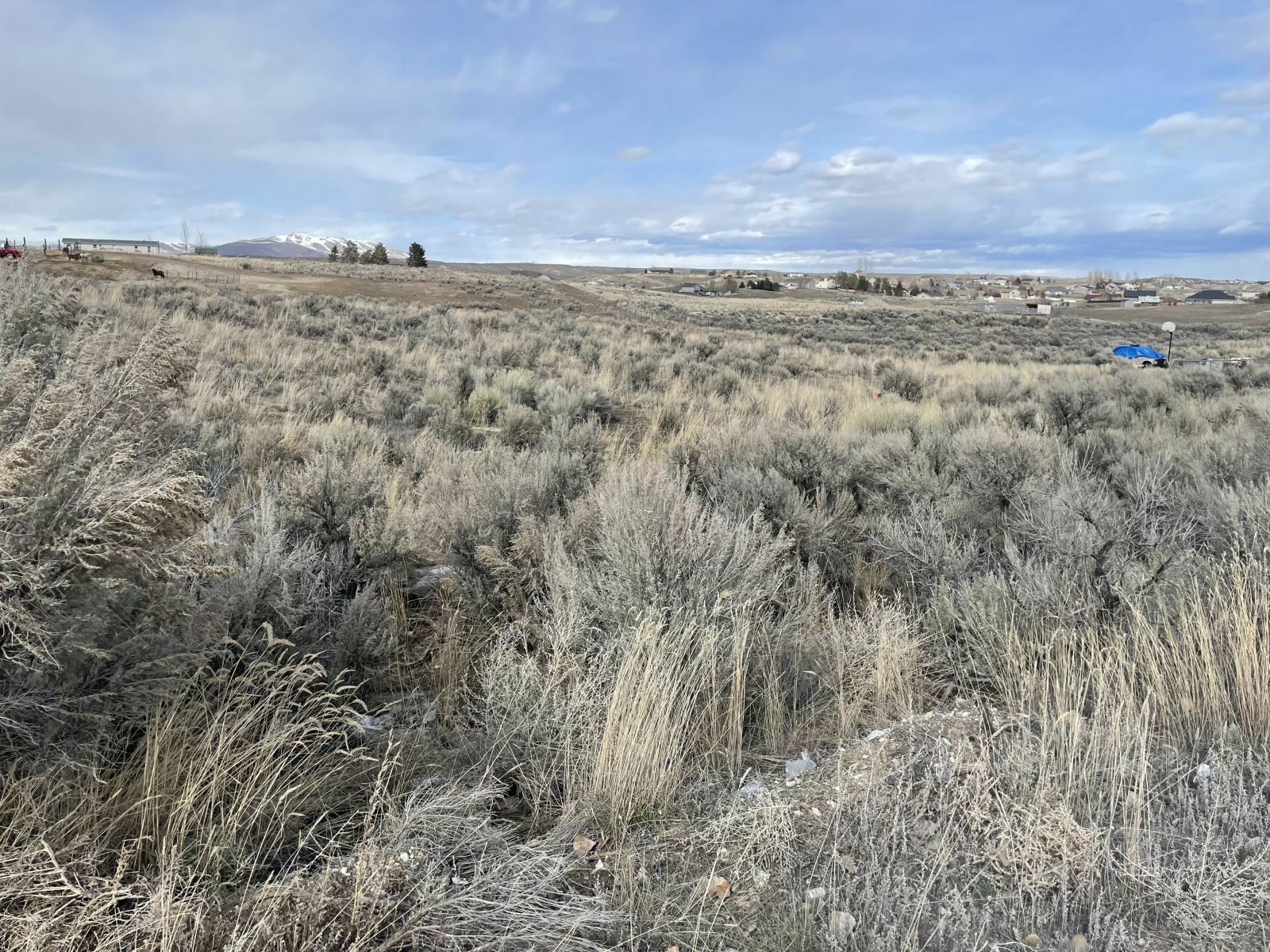 Property Photo:  215 Spring Creek Parkway  NV 89815 