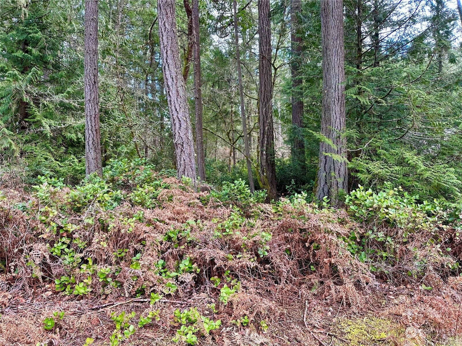 Property Photo:  11824 Dogwood Place  WA 98303 