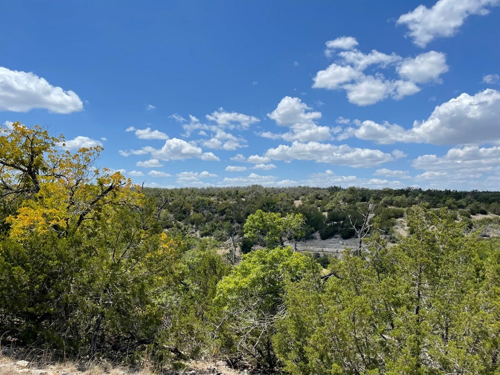 Property Photo:  Lot 35 Ridgeline Rd  TX 78624 