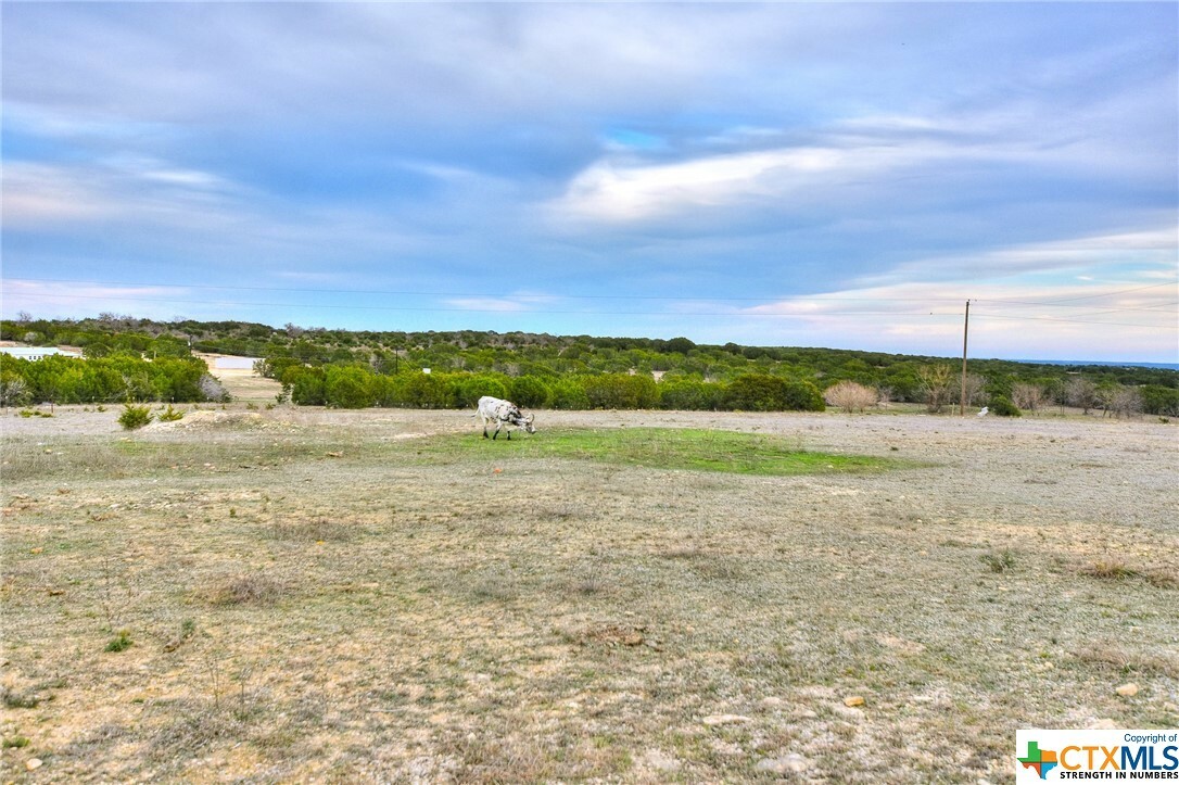 Property Photo:  3303 County Road 206  TX 76550 