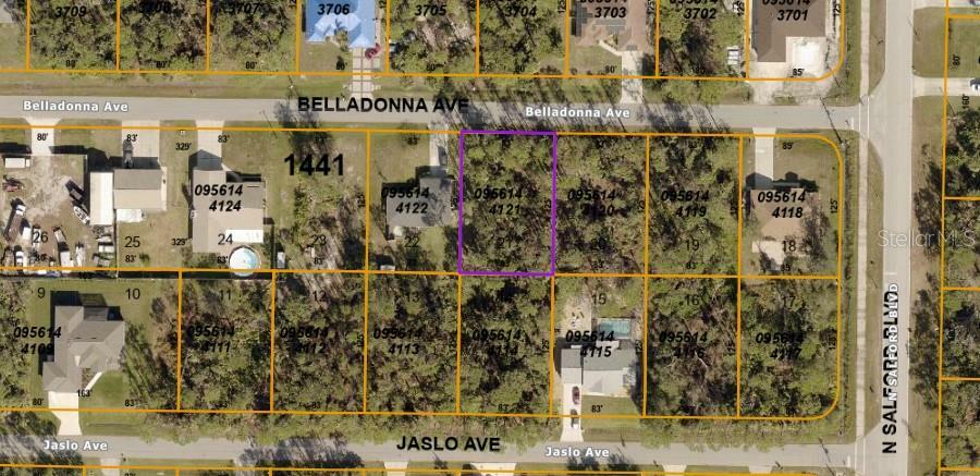 Property Photo:  Belladonna Avenue  FL 34286 