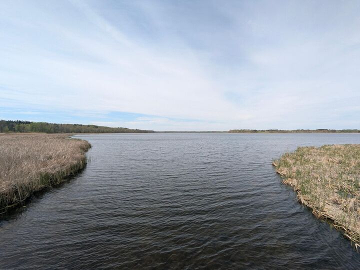 Property Photo: 14413 Blueberry Bridge Road MN 56464