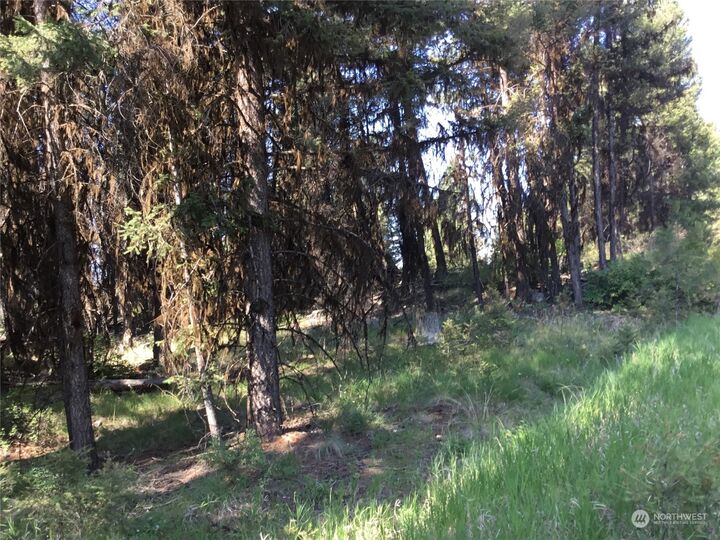 Property Photo: 3 Trapline Loop Road WA 98844