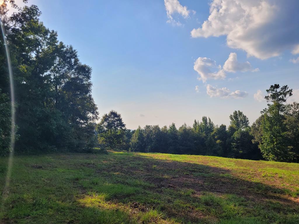 Property Photo:  Catchall Rd  SC 29040 