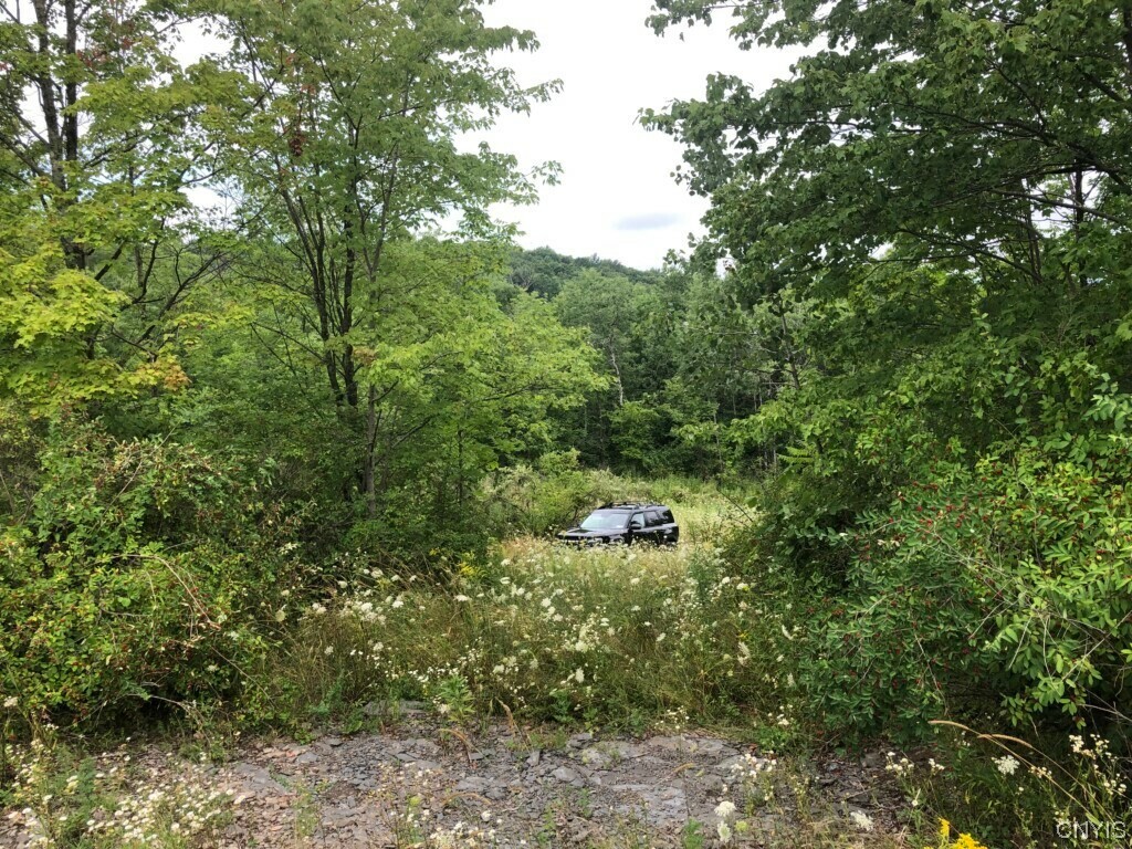 Property Photo:  3494 State Route 206  NY 13862 