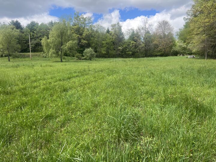 Country Wood Lane  Crawley WV 24931 photo