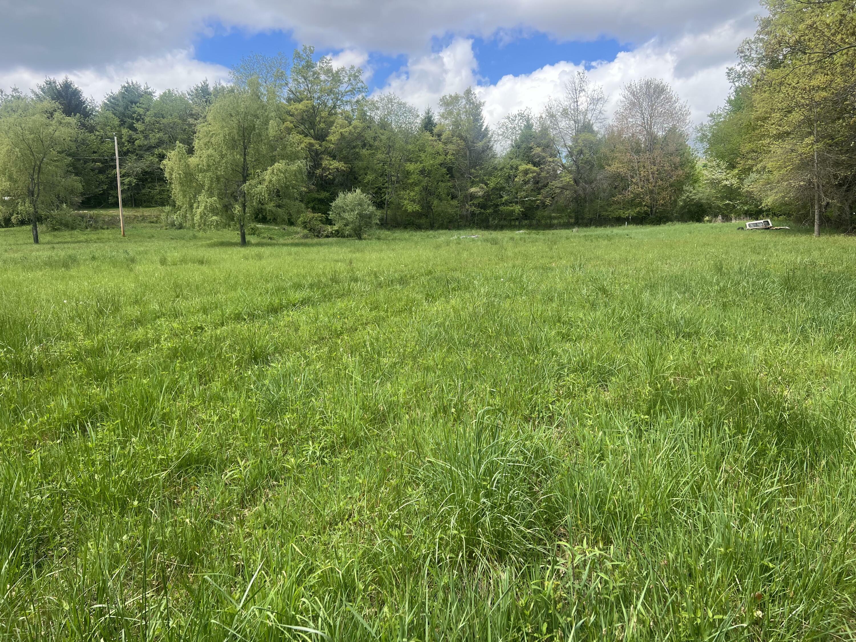 Property Photo: Country Wood Lane WV 24931