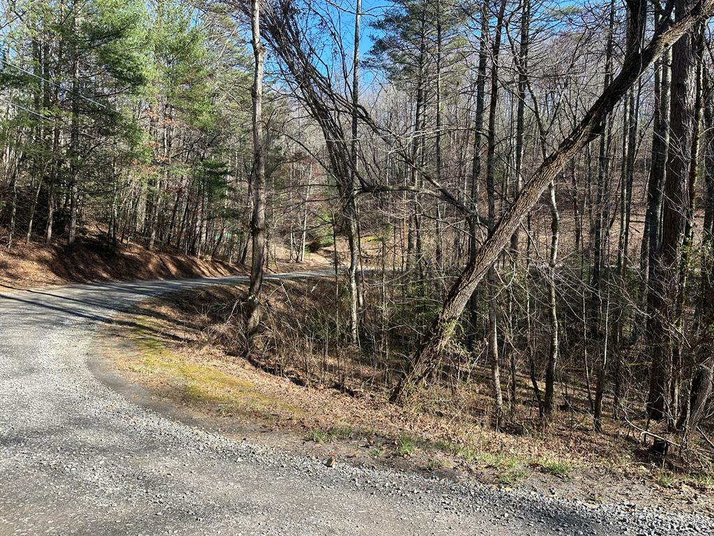 Property Photo:  2+ Acres Black Walnut Lane  NC 28906 