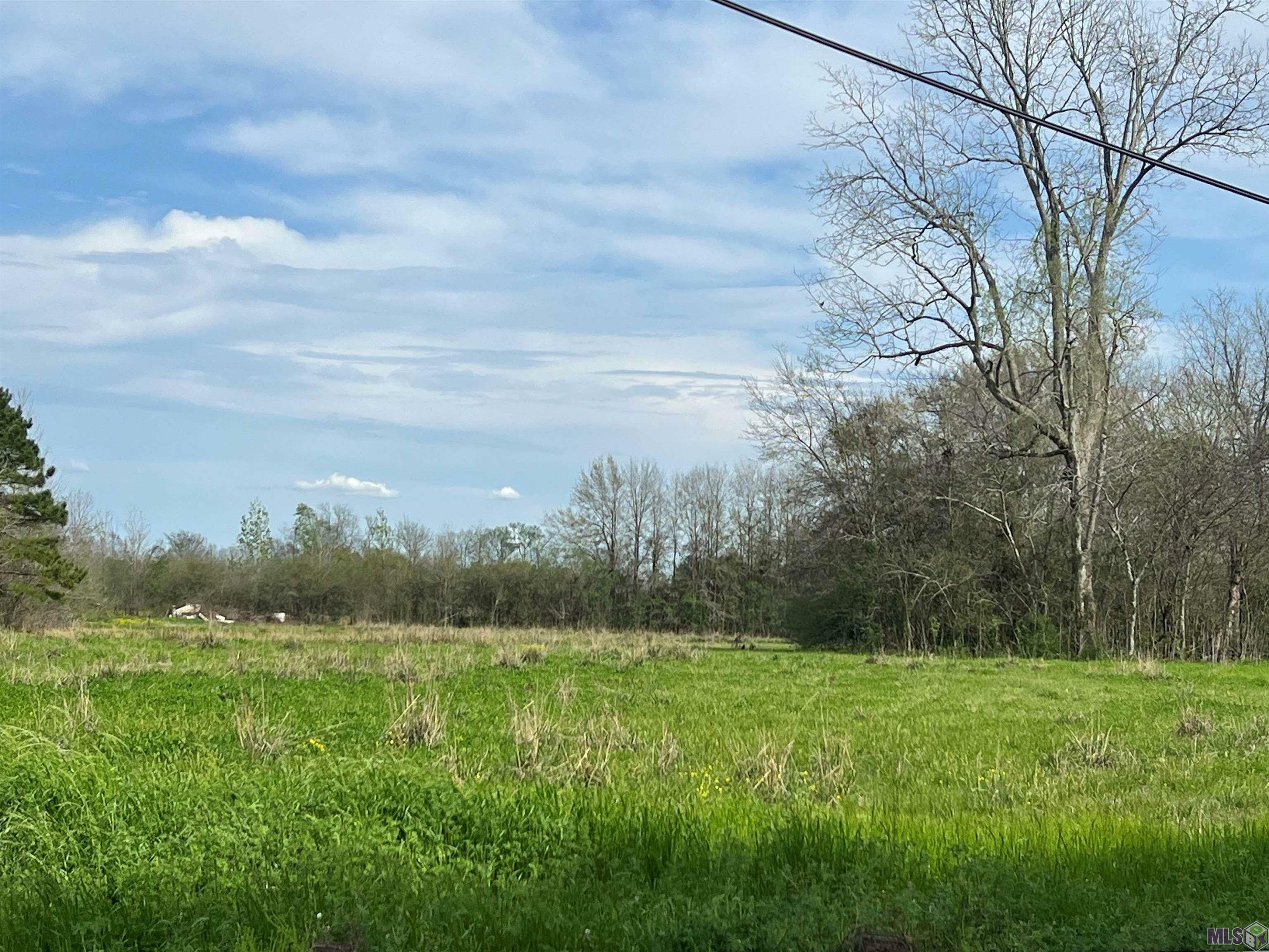 Property Photo: 5232, 5252 Elm Grove Rd LA 70767