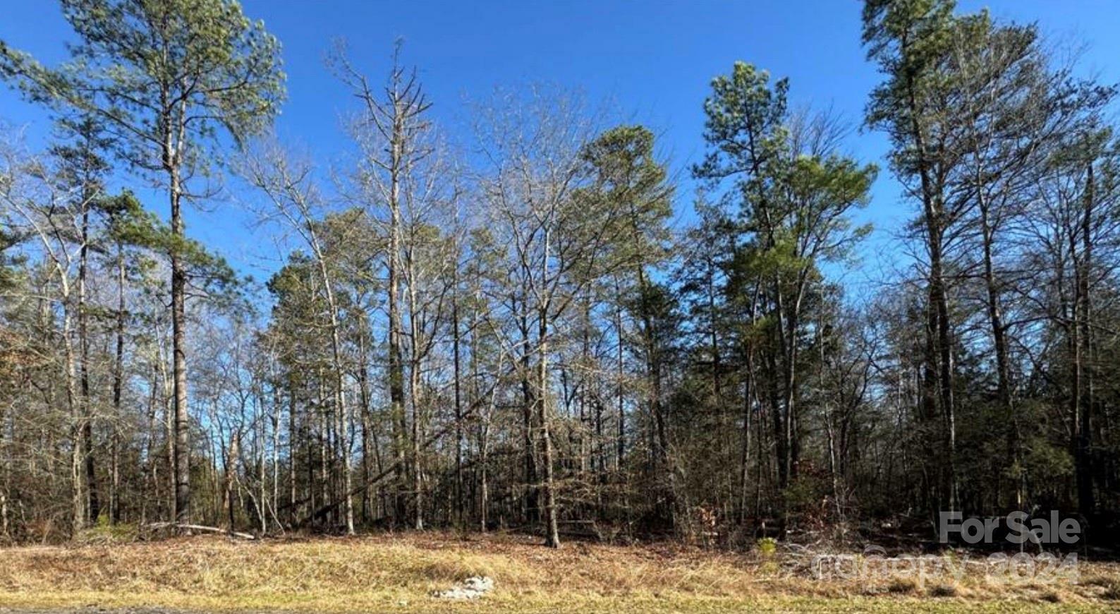 Property Photo:  460 Riddle Mill Road  SC 29710 