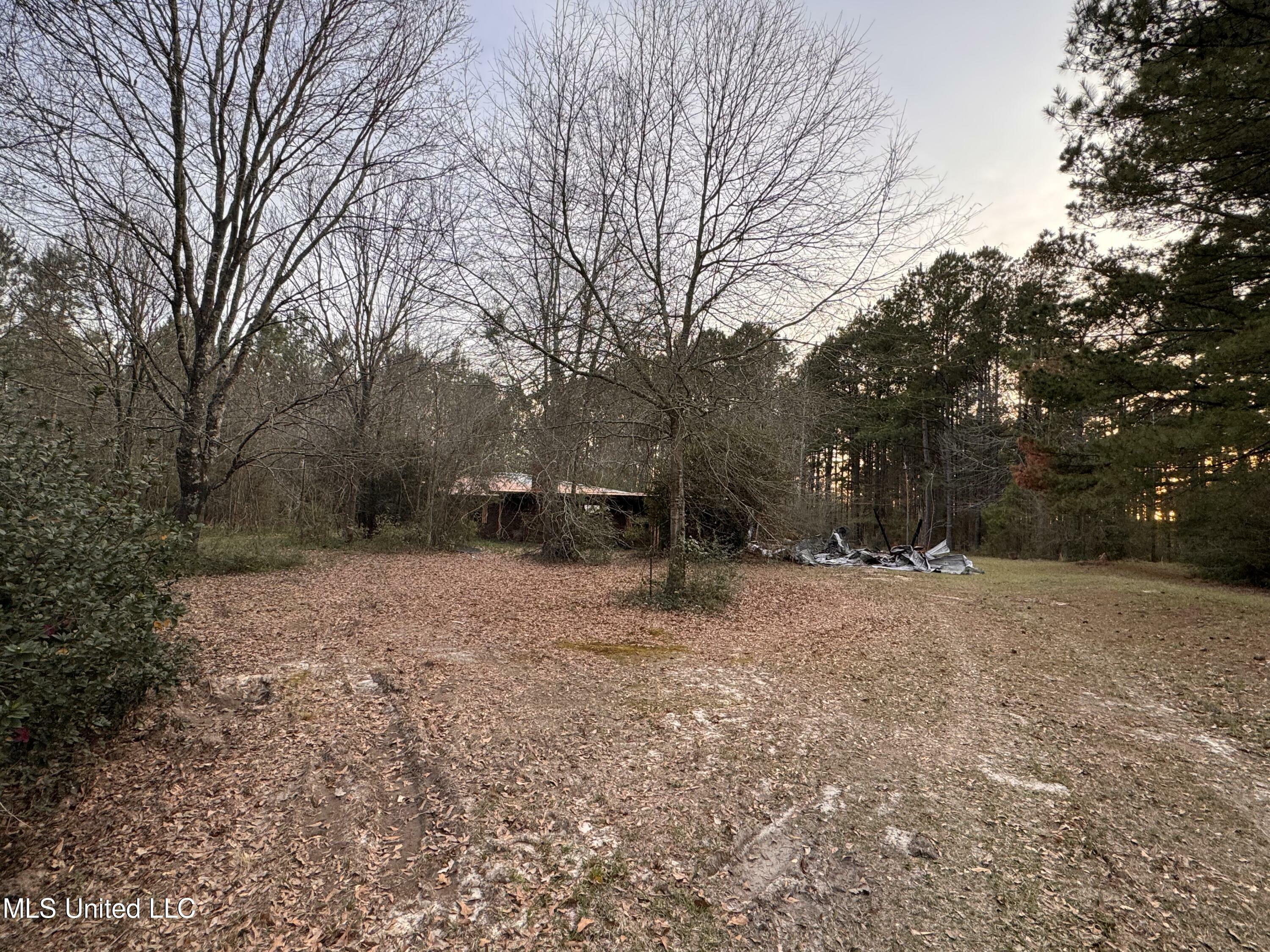 Property Photo:  17 Melni Smith Road  MS 39455 