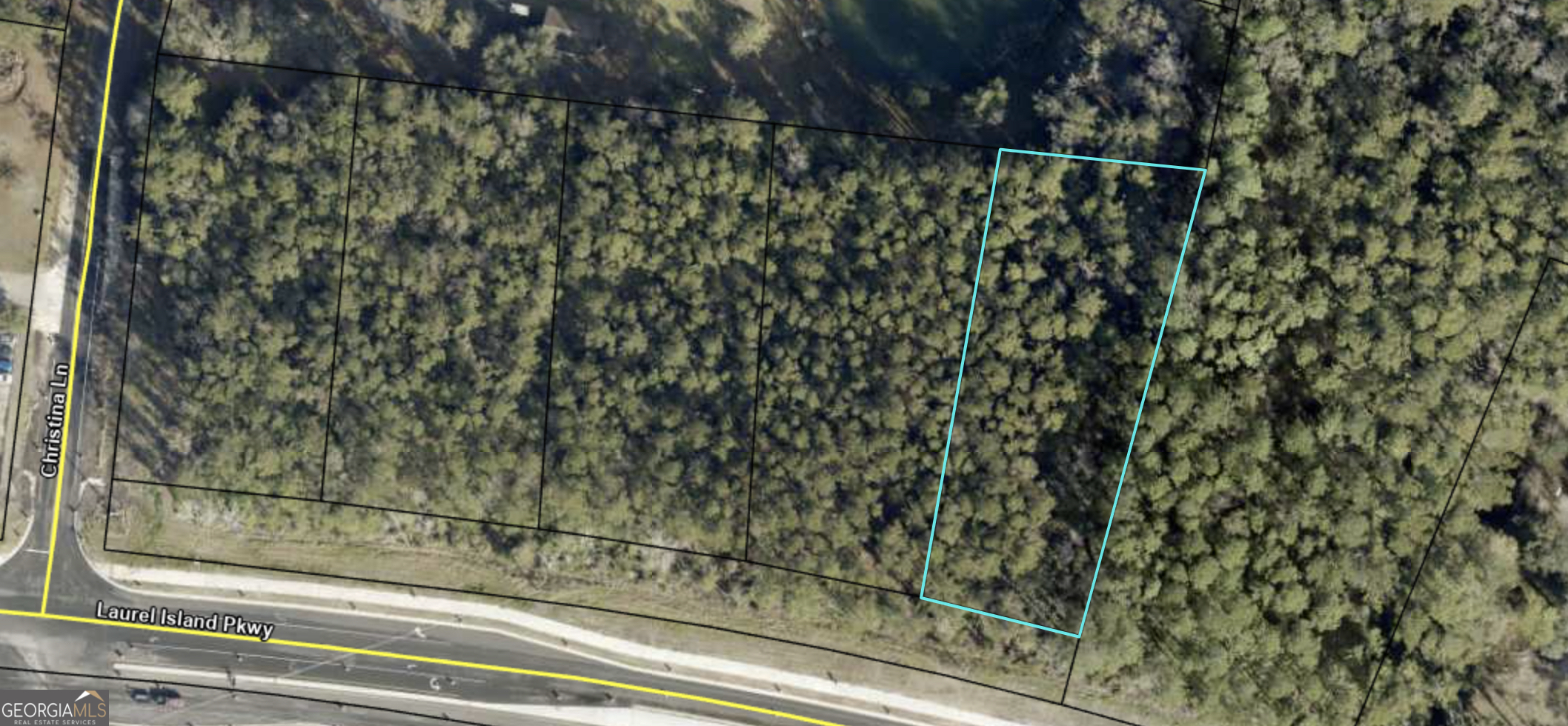 Property Photo: 5923 Laurel Island Parkway GA 31548