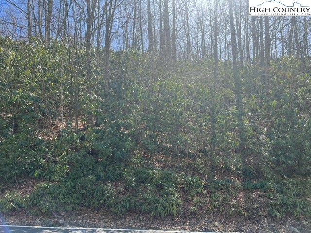 1211 Pine Ridge Road  Beech Mountain NC 28604 photo