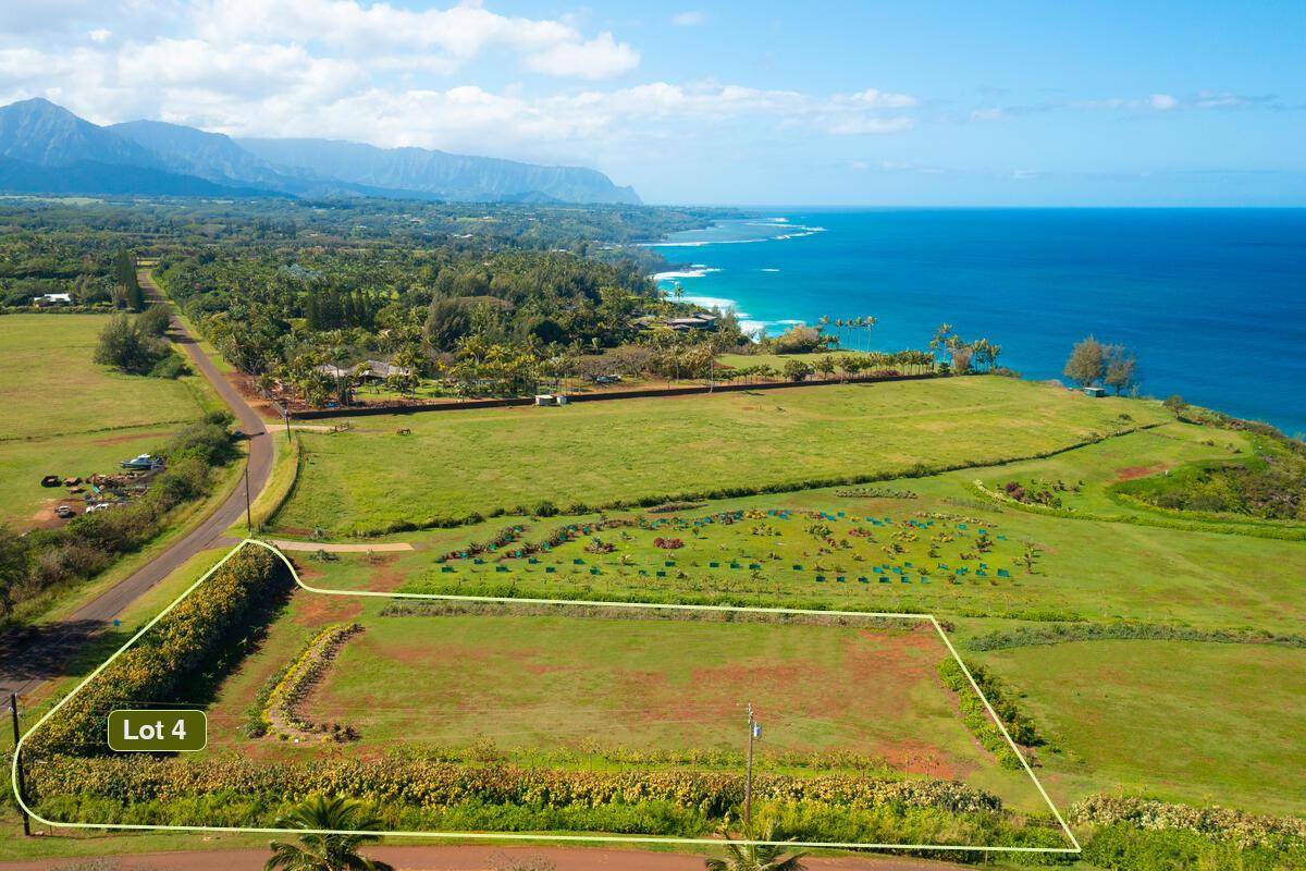 Property Photo:  Kauapea Rd  HI 96754 