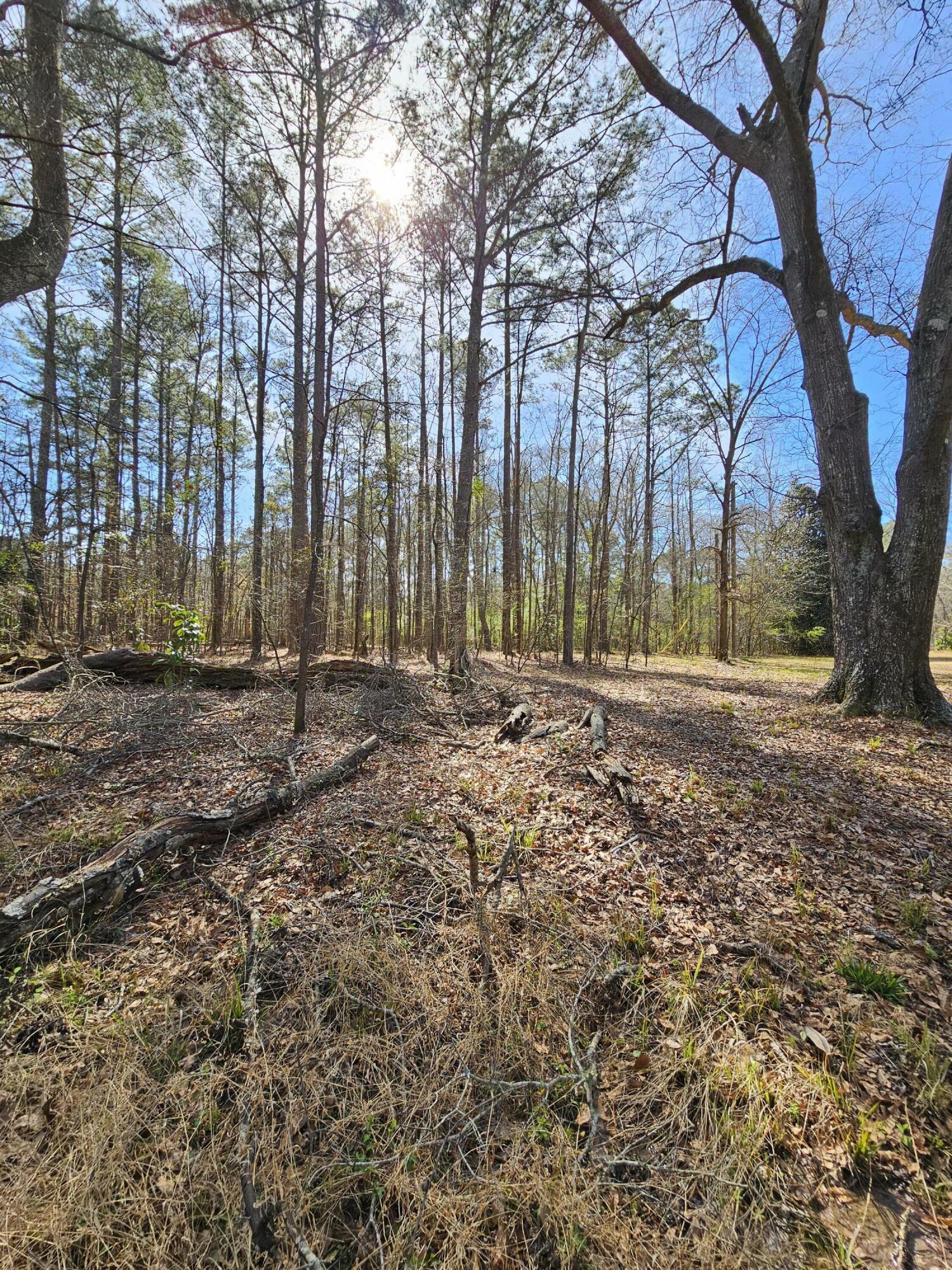 Property Photo:  01 Lakeview Drive  SC 29832 