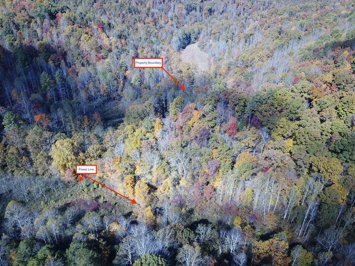 Property Photo:  0 Clover Bottom Creek Road  KY 40447 