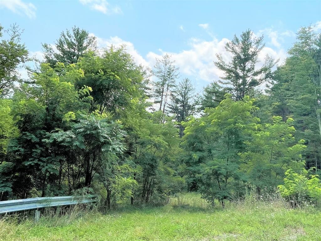 Property Photo:  Lot 30 Hemlock Hills Rd  PA 18848 