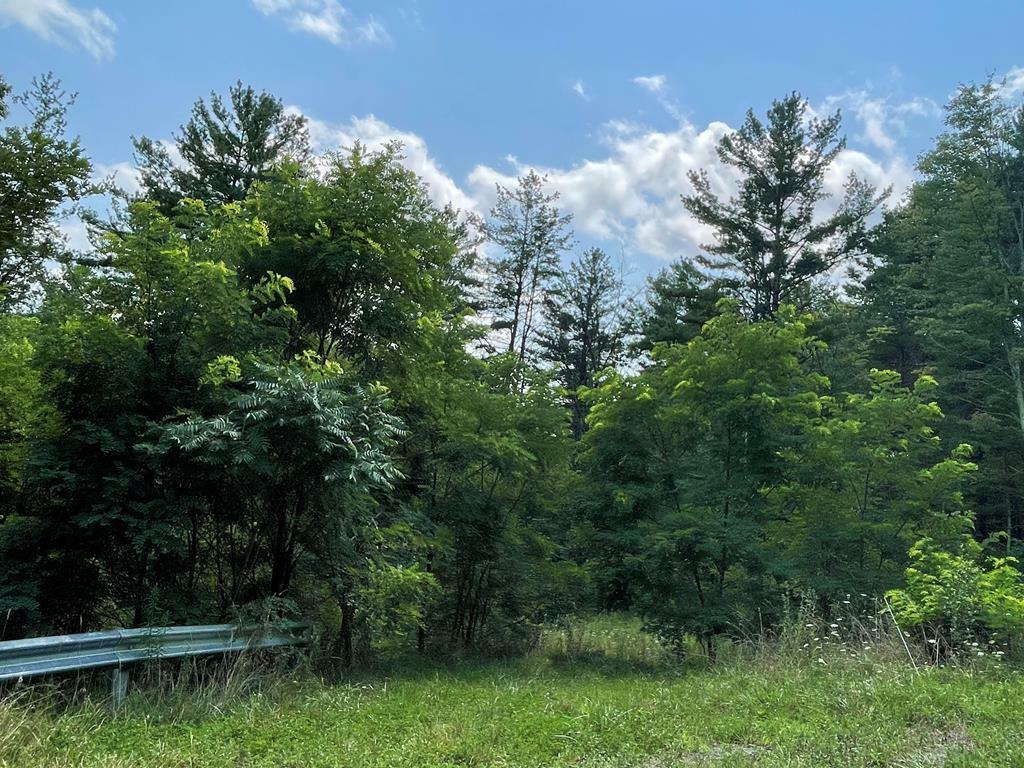 Property Photo:  Lot 31 Hemlock Hills Rd  PA 18848 