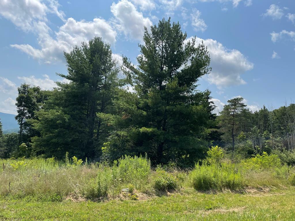 Property Photo:  Lot 6 Hemlock Hills Rd  PA 18848 