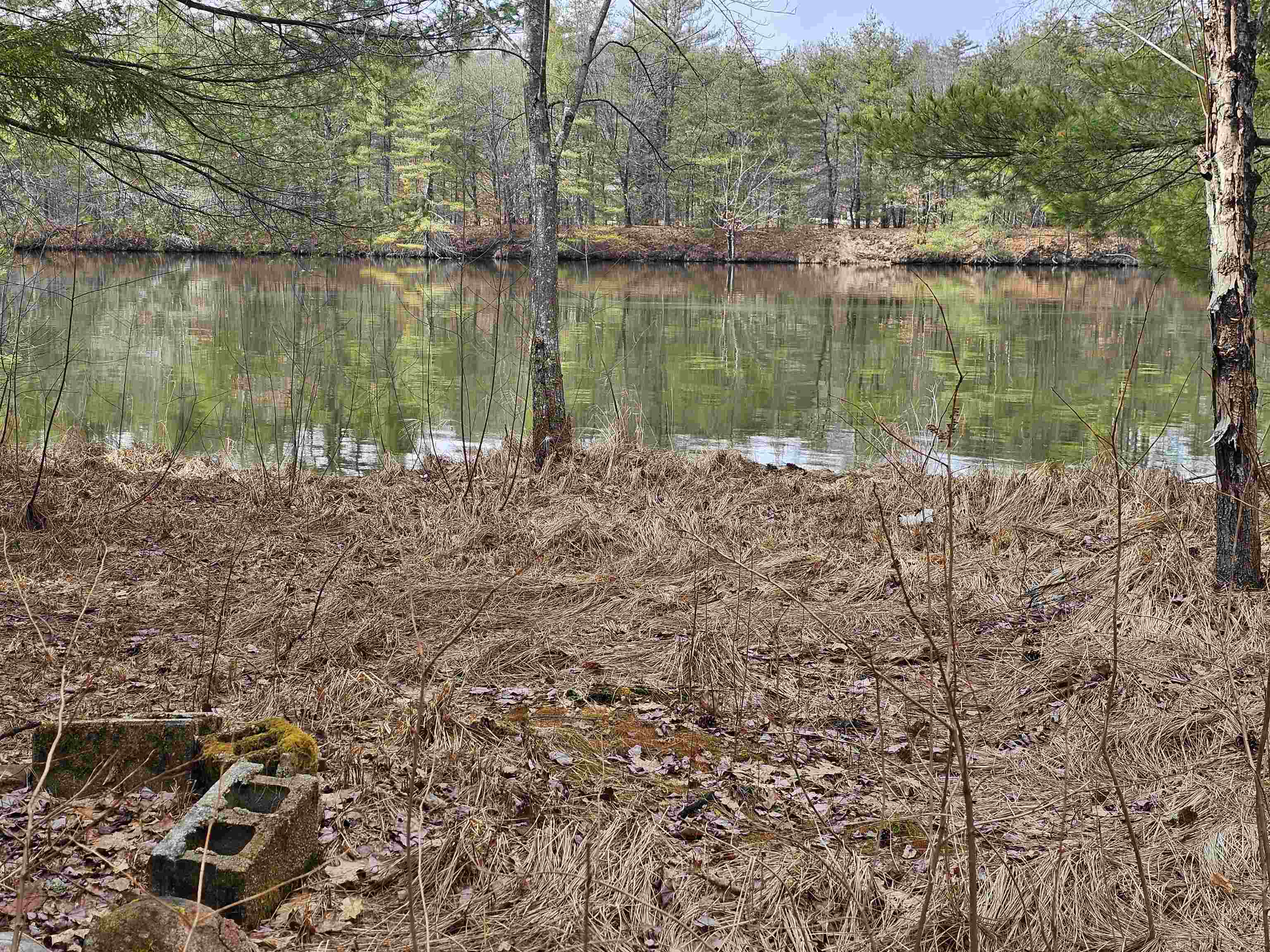 Property Photo: 0 Pemi Shore Lane NH 03235