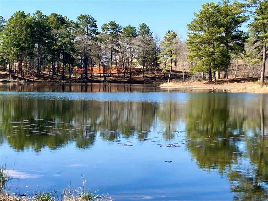 Lot 64 White Oak Creek  Big Sandy TX 75755 photo