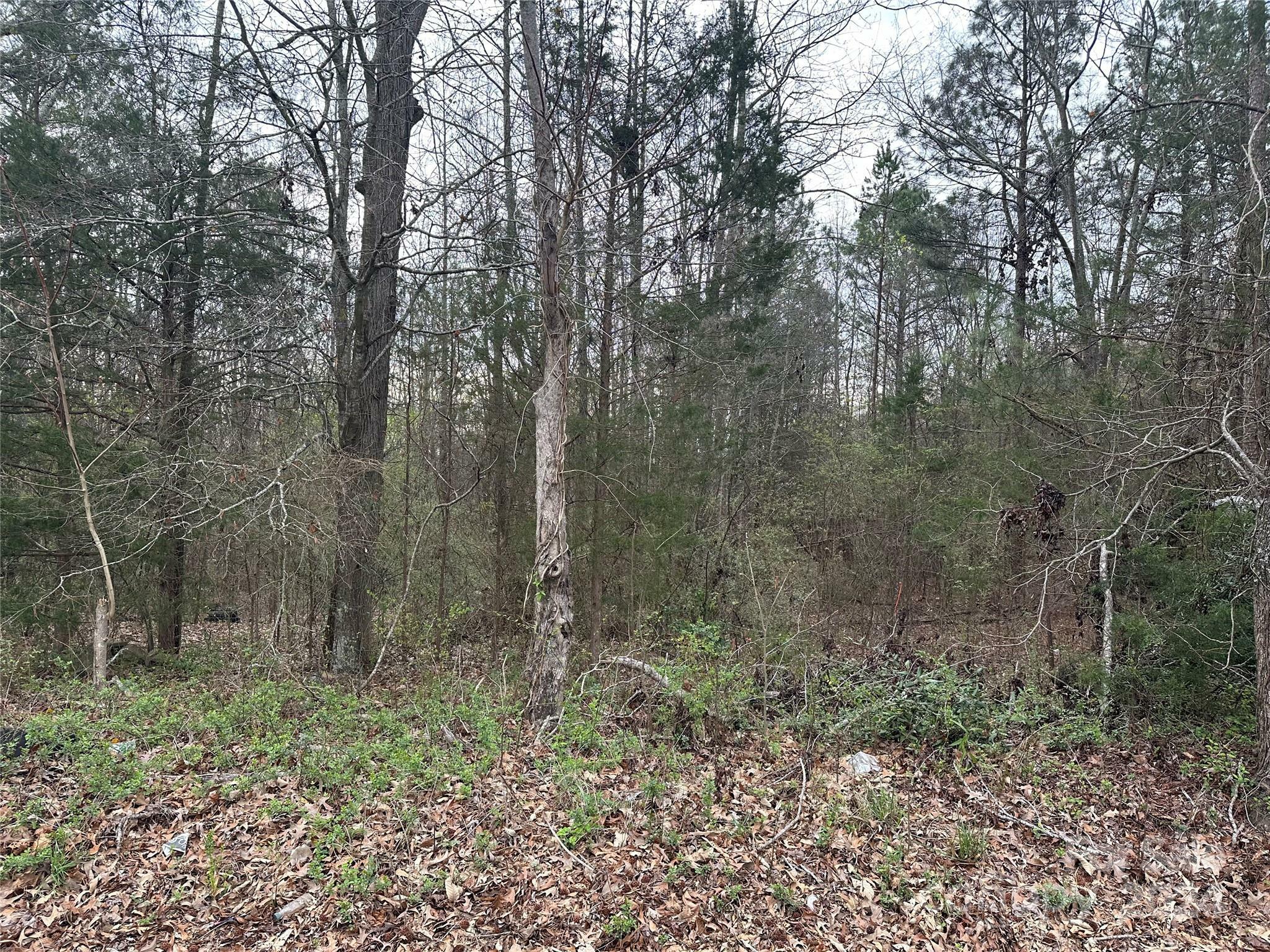 Property Photo:  00 Zion Church Road  SC 29372 