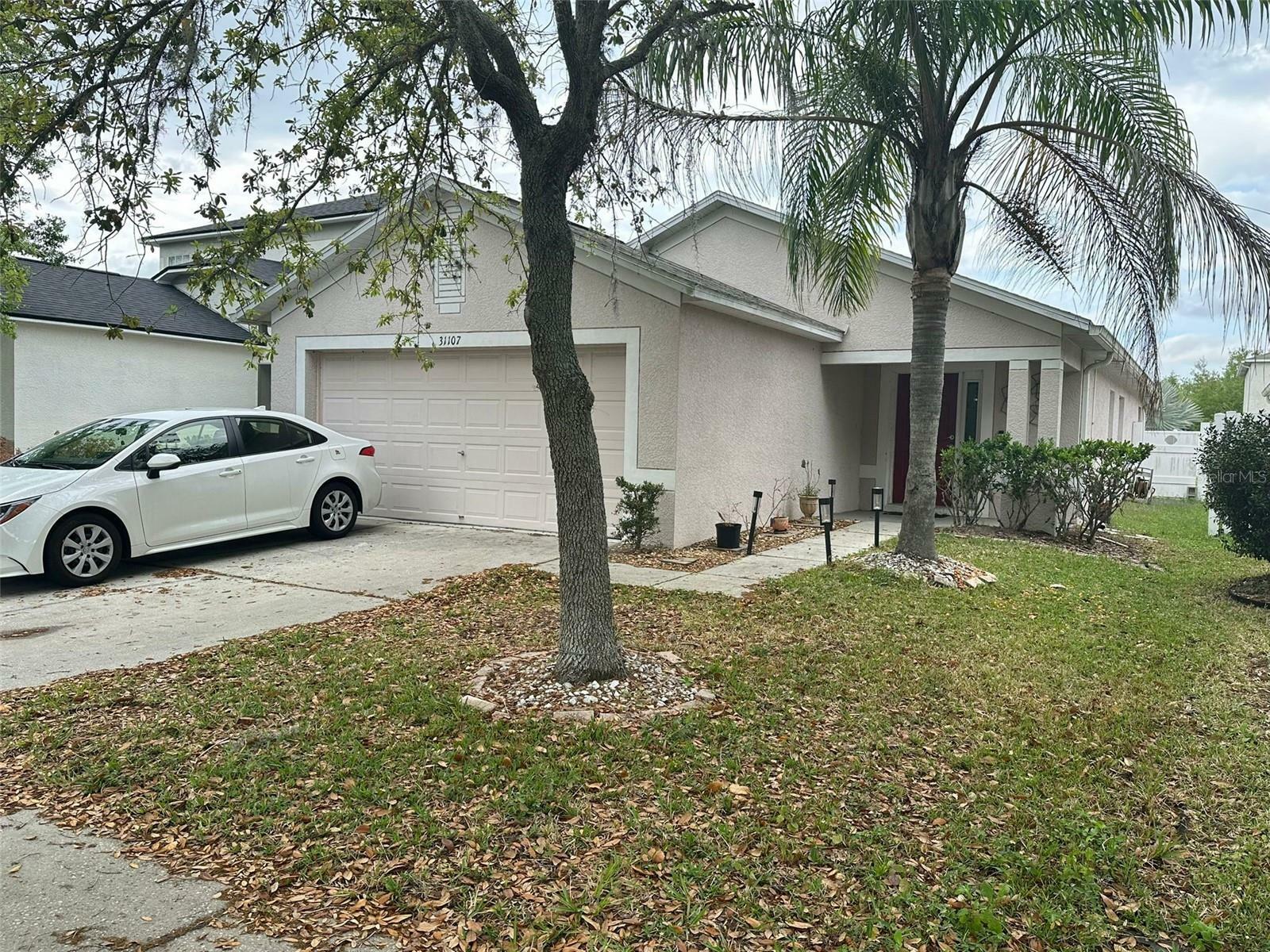 31107 Tagus Loop  Wesley Chapel FL 33545 photo