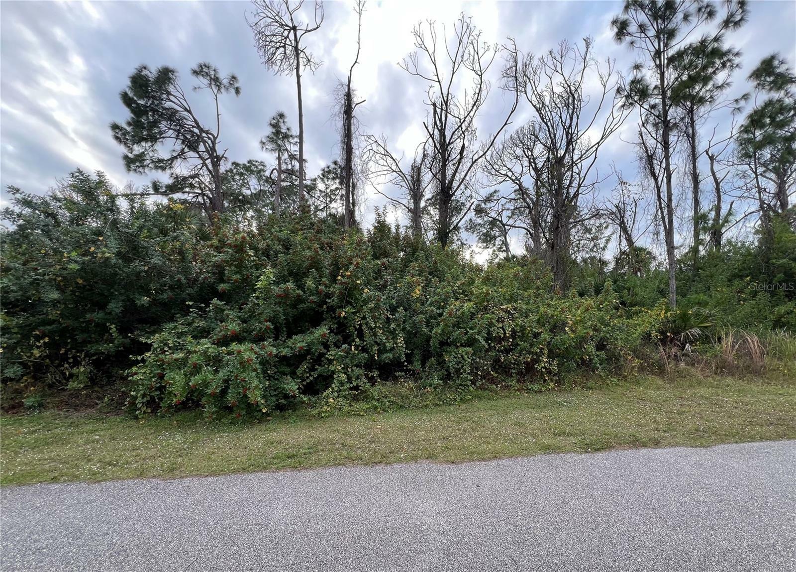 Property Photo:  Grandview Drive  FL 34288 