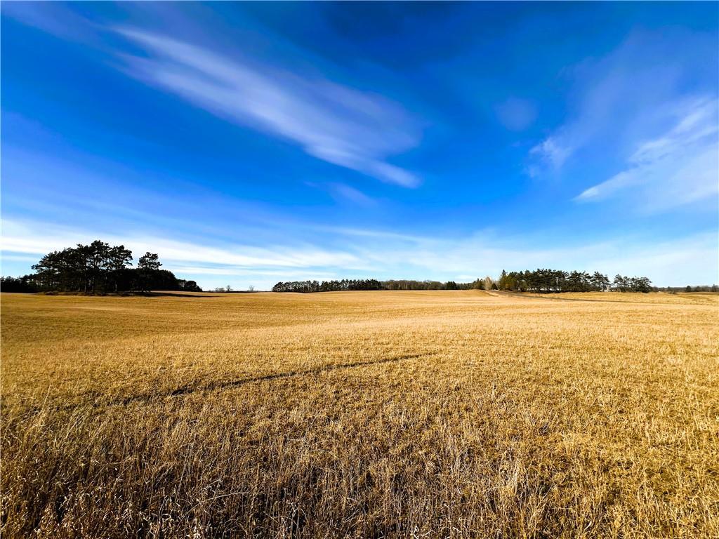 80 Acres On Thornapple Road  Ladysmith WI 54848 photo