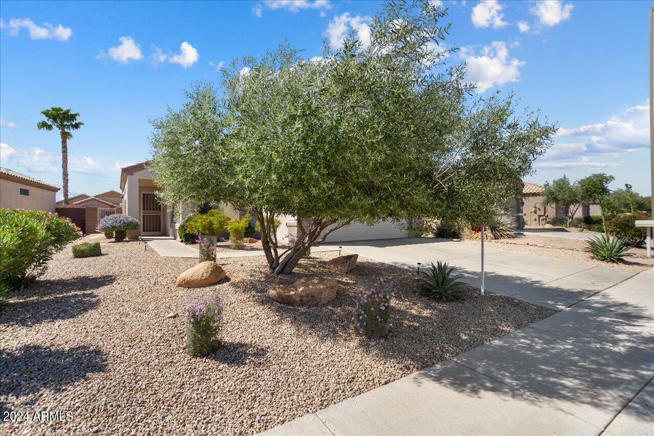 Property Photo:  15841 W Desert Meadow Drive  AZ 85374 