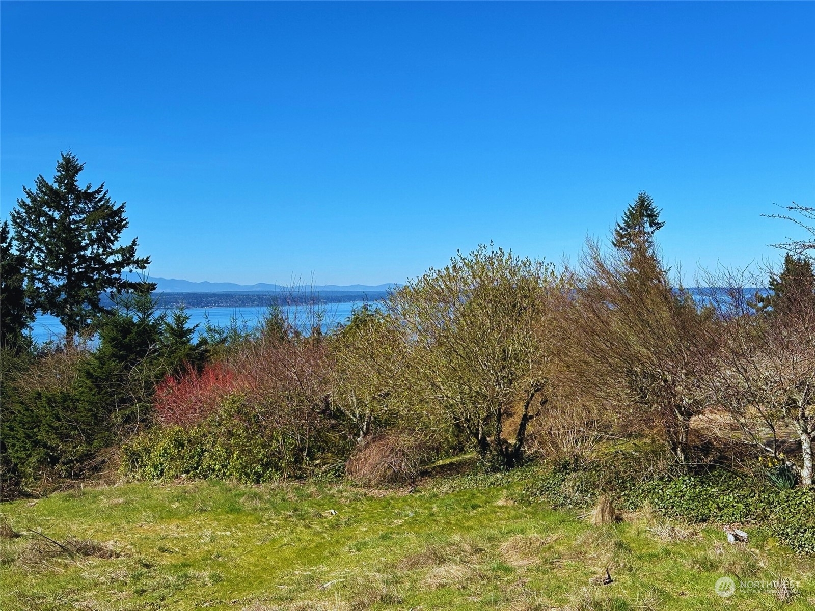 Property Photo:  860 NW Elford Drive  WA 98177 